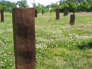 Den etiopiske kirkegård